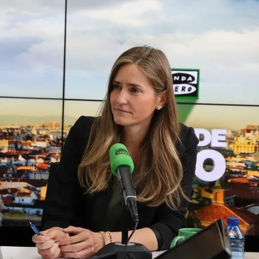 Tertulia: ¿Por qué no conocemos las causas del apagón?