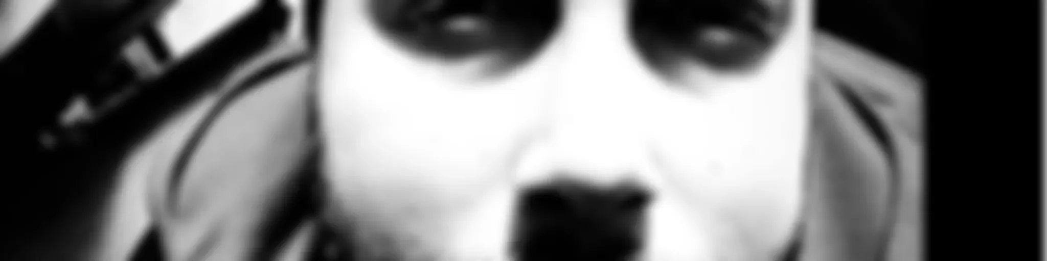 TÜRKÇE PODCAST DİNLE | DGSNMRT