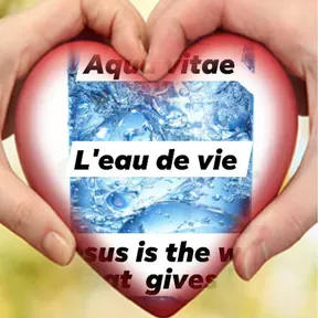 RADIO TELE EAU DE VIE
