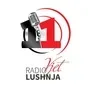 Radio Lushnja 95.5