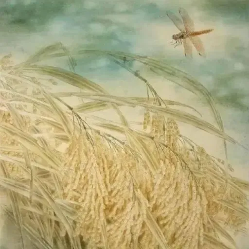 叶浅韵：我来了，我的人间