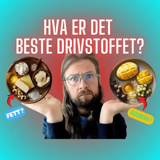 S2 Episode #9 – Hvorfor FETT Ikke er det Mest Effektive Drivstoffet (Hvorfor du IKKE vil være en Fettforbrenner – Del 3)