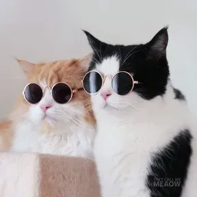 Roadside Loves