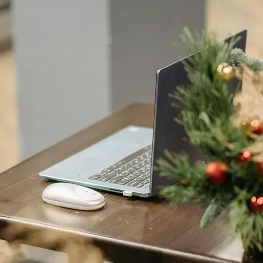 Mazināt digitālās vides ietekmi, jeb kā iespējams īstenot digitālo gavēni