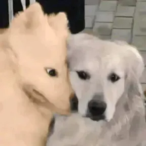 Duuddudu