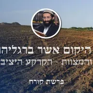 פרשת קורח • 'כל היקום אשר ברגליהם' - התורה והמצוות - הקרקע היציבה שלנו