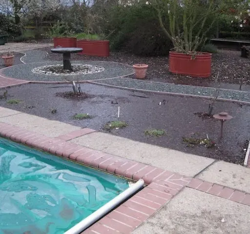 Rain-Draining Strategies for Your Yard and Garden