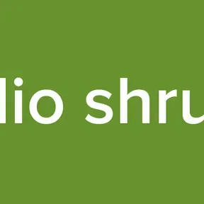 radio shruthi
