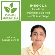 523 La falta del extensionista agrícola se nota en el campo con Rosario Cañada