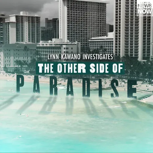 SPECIAL REPORT: Here’s everything we know so far about the Hawaii Loa Ridge murder