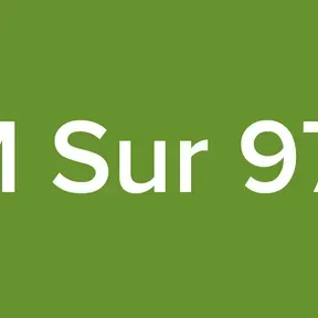FM Sur 97.3