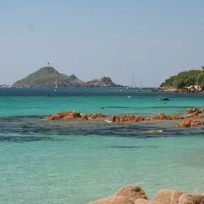 Plage Vibes