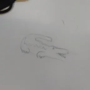 Nandopineuzera