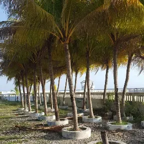 RADIO EAGLE ONE FM STÉRÉO