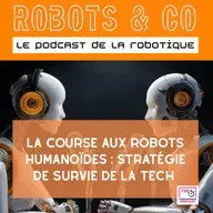 La course aux robots humanoïdes : stratégie de survie de la tech