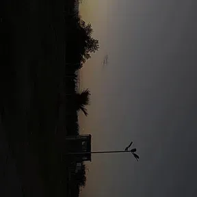 Barderos