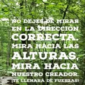 Transmitiendo Vida