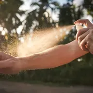 Myg kan lære at blive tiltrukket af myggespray