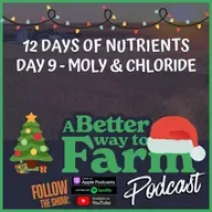 12 Days of Nutrients - Day 9: Moly & Chloride