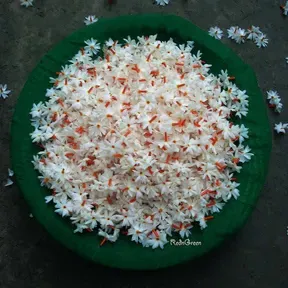 Saraswathi music platform