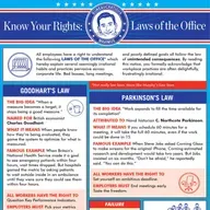 The laws of the office revisited