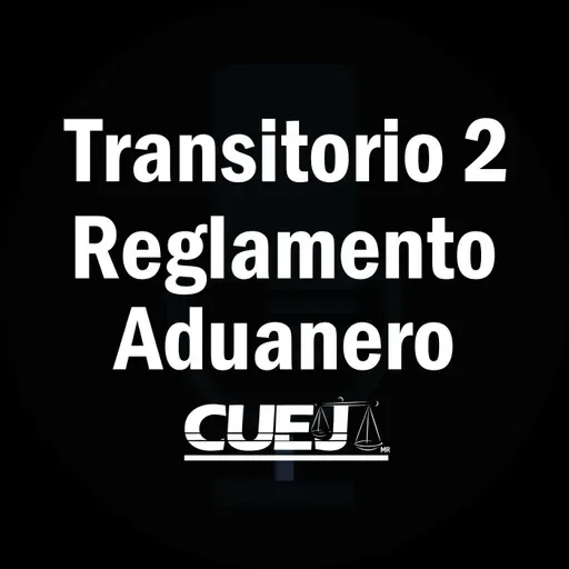 Transitorio 2 Reglamento de la ley aduanera México
