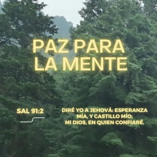 V VENCIENDO EL AGOTAMIENTO | PAZ PARA EL ALMA