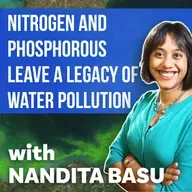 Nitrogen and Phosphorous Leave a Legacy of Water Pollution | Nandita Basu