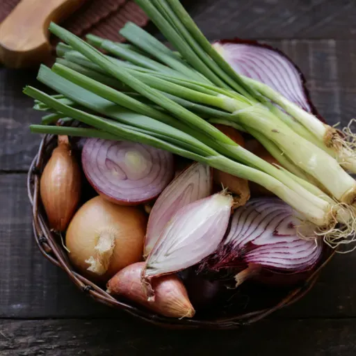 92 Segundo plato | La cebolla