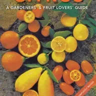A Deep Dive Into Citrus Containers
