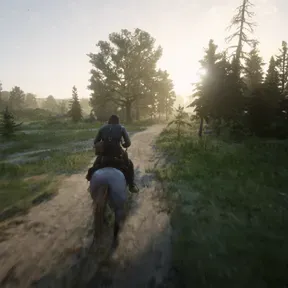 BoneCoLLectoRs_Radio