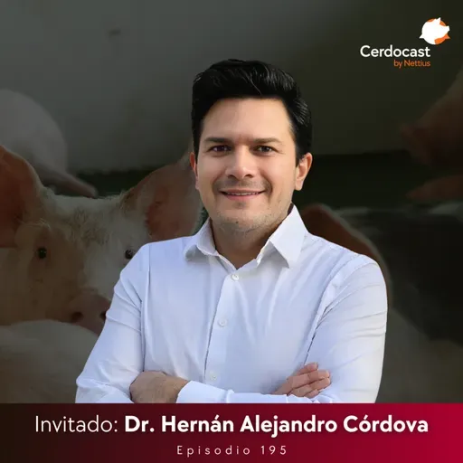 #195 - Reglas de oro en formulación: Optimizando el uso de energía - Dr. Hernán Alejandro Córdova - Parte 1