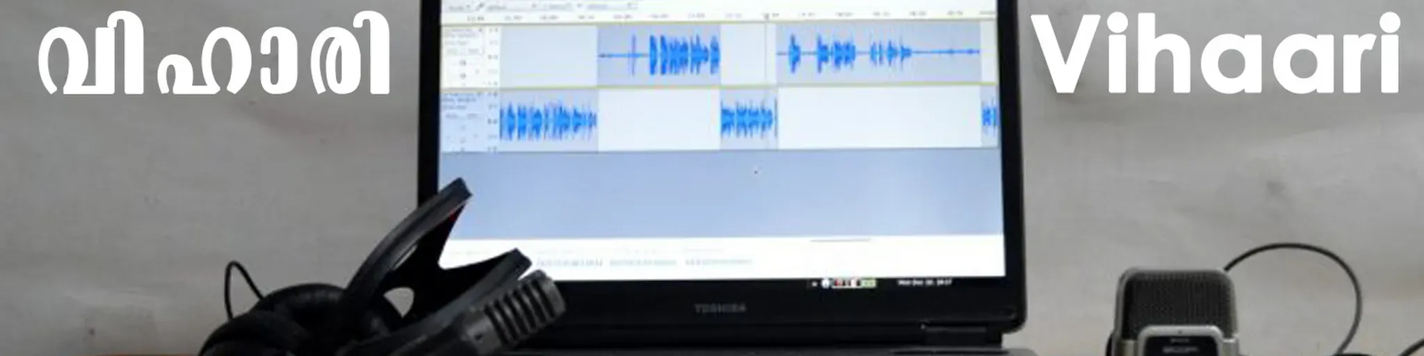 Radio Vihaari