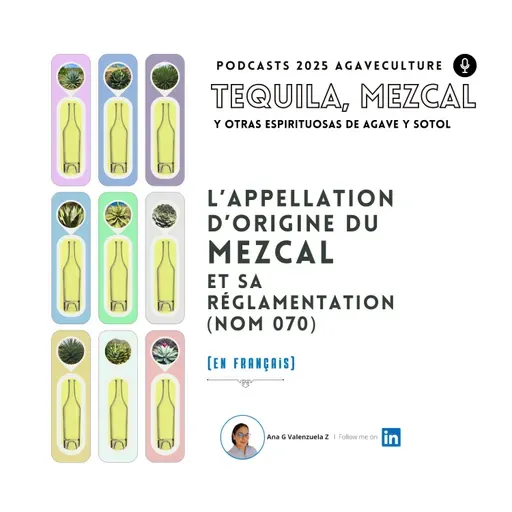 L’appellation d’origine du Mezcal et sa réglamentation (NOM 070)