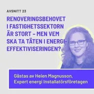 Stort renoveringsbehov av fastigheter - vem tar täten?