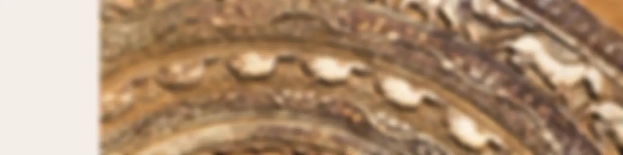 SBS Sinhala - SBS සිංහල වැඩසටහන