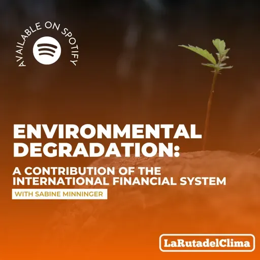 Environmental degradation: A contribution of the international financial system