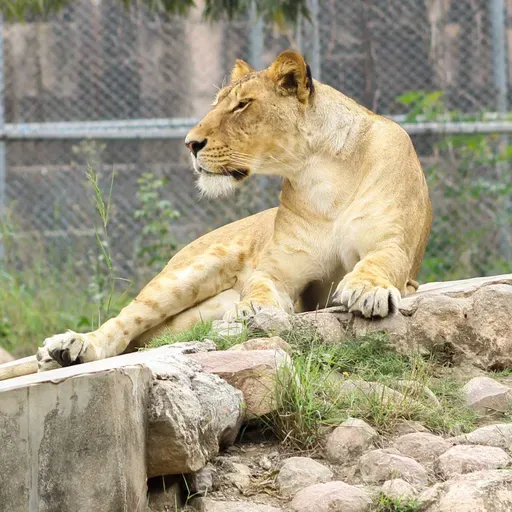 Lo Zoo di 105 2026-02-24 13:50