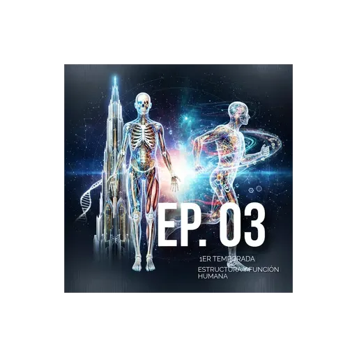 03 estructura y función humana