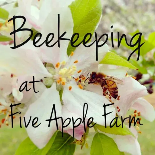 Ep156 Spring in the 🐝 bees!