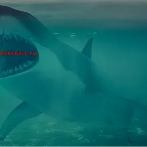 SHARKBAIT.FM