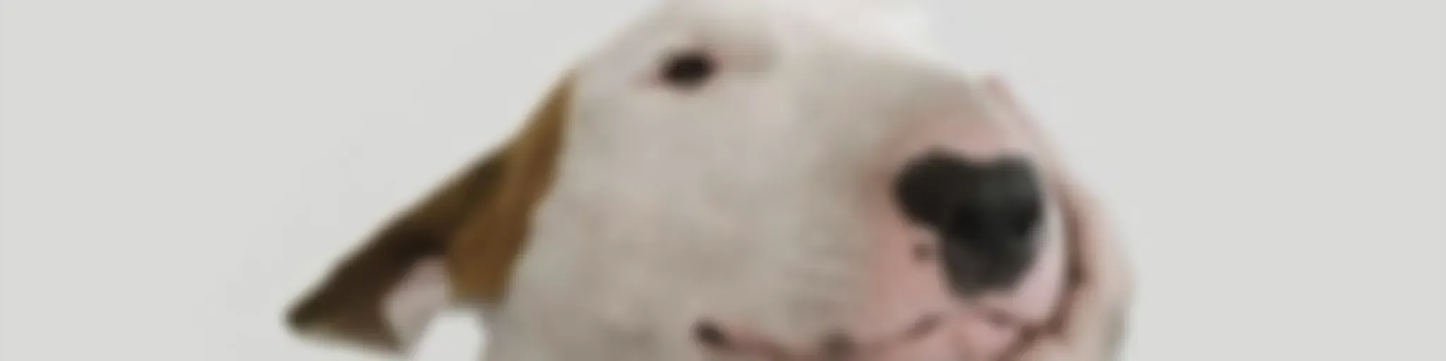 Ничего хорошего