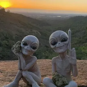 Entussiamado