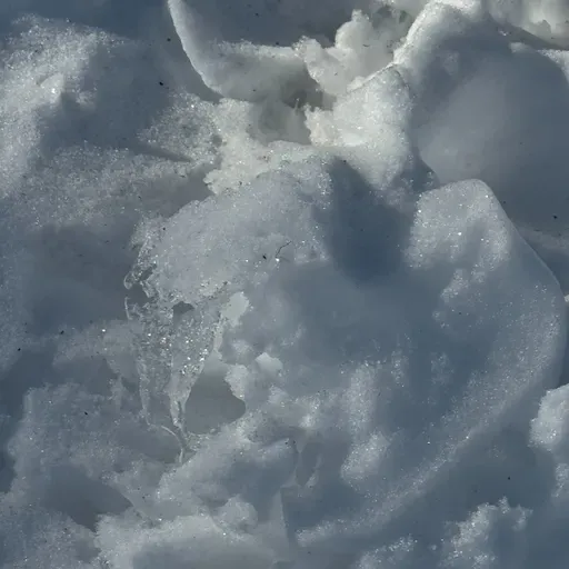 Bk. 1, Pt. 3, Ch. 18(A): Alexandr Among the Ash Heap