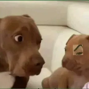 TuMamaEnMP3