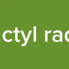 Dactyl radio