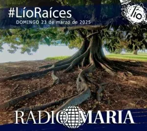 Armando Lio – Domingo 23 Marzo 2025