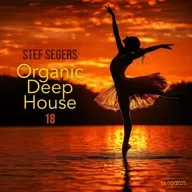 170 Stef Segers - Organic Deep House 18