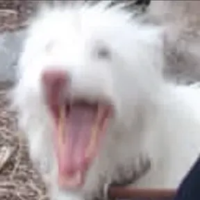 Nuubly