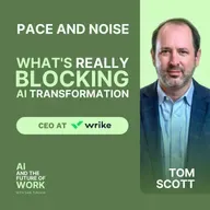 386: Pace, Noise, and What's Really Blocking AI Transformation at Work, with Tom Scott, CEO of Wrike